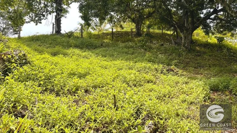 Affordable Eco-Friendly Lots Near Marina Pez Vela & Manuel Antonio — view 4, Quepos, Costa Rica