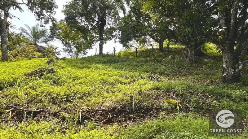Affordable Eco-Friendly Lots Near Marina Pez Vela & Manuel Antonio — view 5, Quepos, Costa Rica
