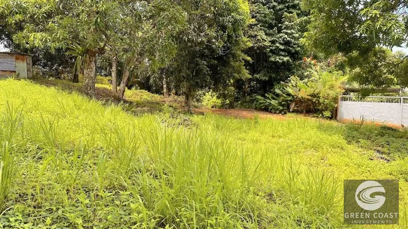 Affordable Eco-Friendly Lots Near Marina Pez Vela & Manuel Antonio — view 11, Quepos, Costa Rica