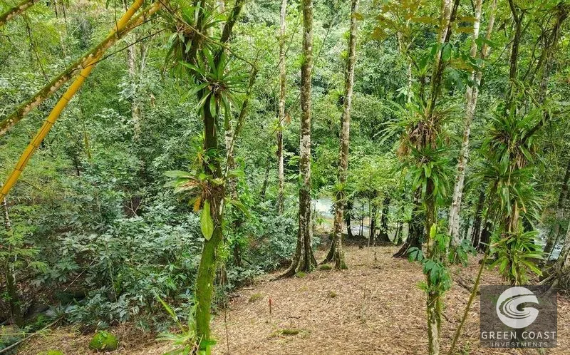 4.5-Acre Riverfront Oasis in Portalon with Two Prime Building Sites Near the Beach — view 2, Portalon, Quepos, Costa Rica