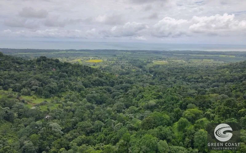 4.5-Acre Riverfront Oasis in Portalon with Two Prime Building Sites Near the Beach — view 4, Portalon, Quepos, Costa Rica