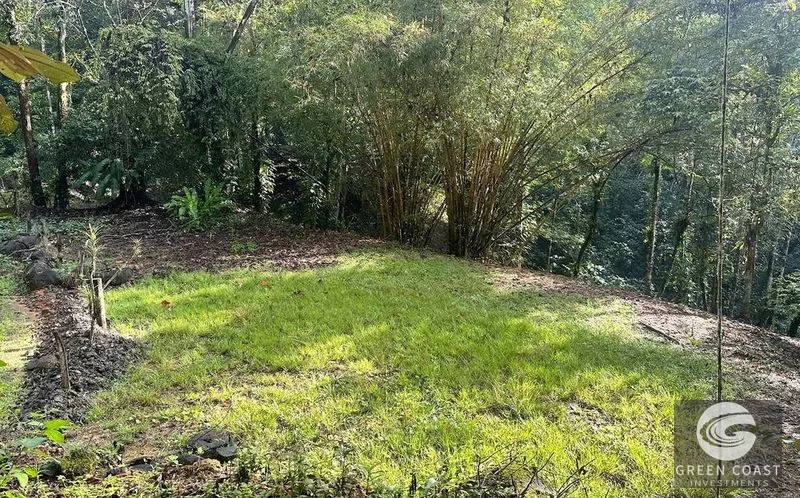 4.5-Acre Riverfront Oasis in Portalon with Two Prime Building Sites Near the Beach — view 7, Portalon, Quepos, Costa Rica