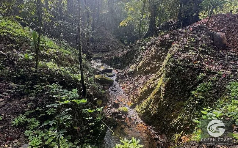 4.5-Acre Riverfront Oasis in Portalon with Two Prime Building Sites Near the Beach — view 9, Portalon, Quepos, Costa Rica