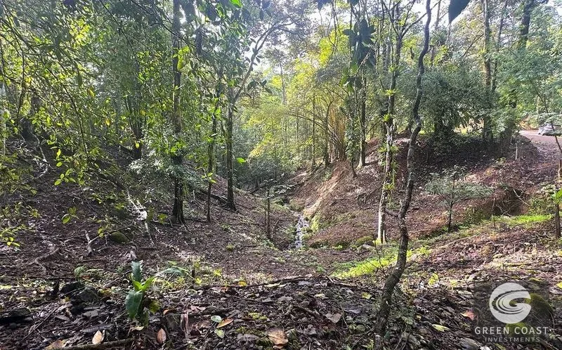 4.5-Acre Riverfront Oasis in Portalon with Two Prime Building Sites Near the Beach — view 10, Portalon, Quepos, Costa Rica