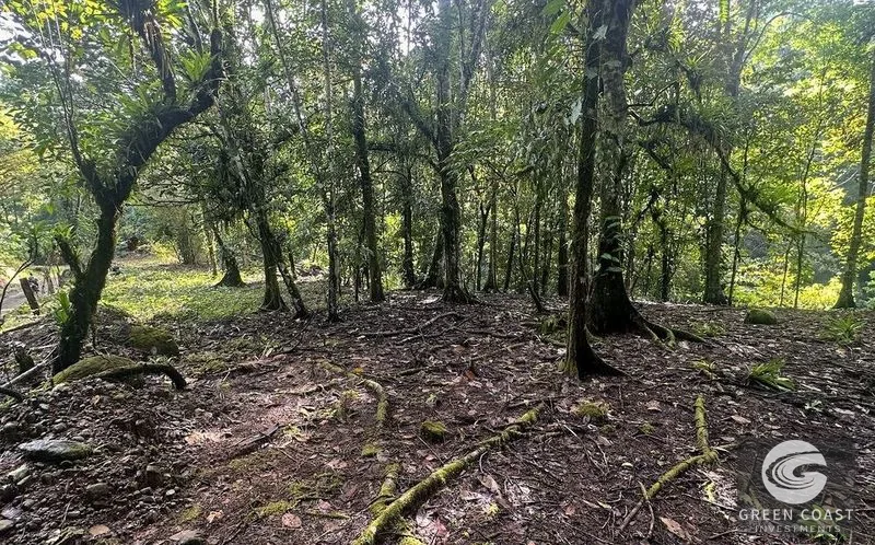 4.5-Acre Riverfront Oasis in Portalon with Two Prime Building Sites Near the Beach — view 11, Portalon, Quepos, Costa Rica
