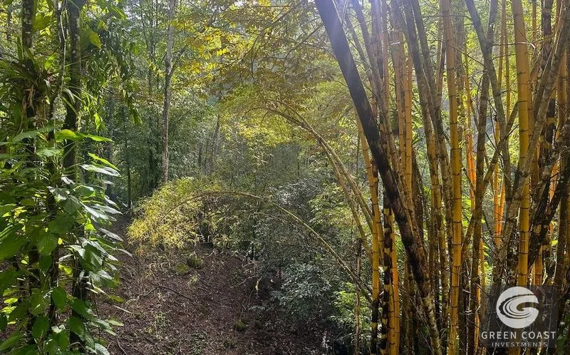 4.5-Acre Riverfront Oasis in Portalon with Two Prime Building Sites Near the Beach — view 12, Portalon, Quepos, Costa Rica