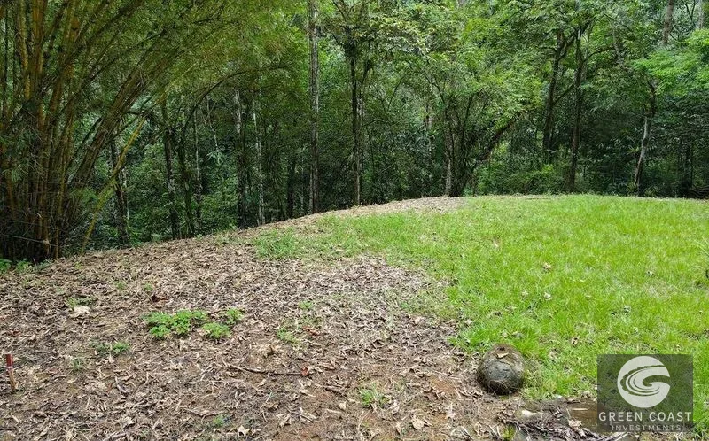 4.5-Acre Riverfront Oasis in Portalon with Two Prime Building Sites Near the Beach — view 13, Portalon, Quepos, Costa Rica