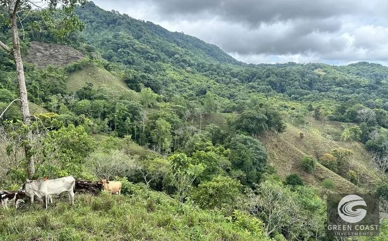 179-Acre Rainforest Ridge Lot with Panoramic Ocean & Mountain Views in Hatillo — view 9, Quepos, Costa Rica