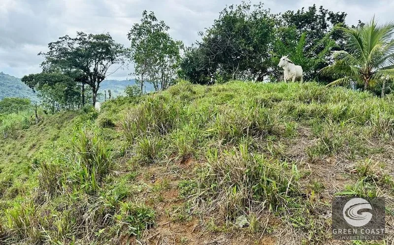 179-Acre Rainforest Ridge Lot with Panoramic Ocean & Mountain Views in Hatillo — view 11, Quepos, Costa Rica
