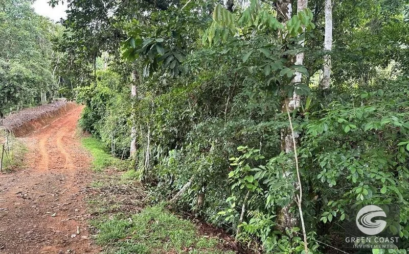 179-Acre Rainforest Ridge Lot with Panoramic Ocean & Mountain Views in Hatillo — view 13, Quepos, Costa Rica