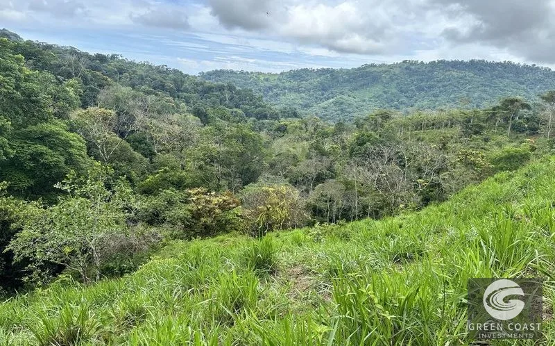 179-Acre Rainforest Ridge Lot with Panoramic Ocean & Mountain Views in Hatillo — view 15, Quepos, Costa Rica