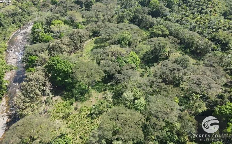 13-Acre Private Jungle Sanctuary with Creek & Fertile Soil in Parrita — view 1, Parrita, Costa Rica