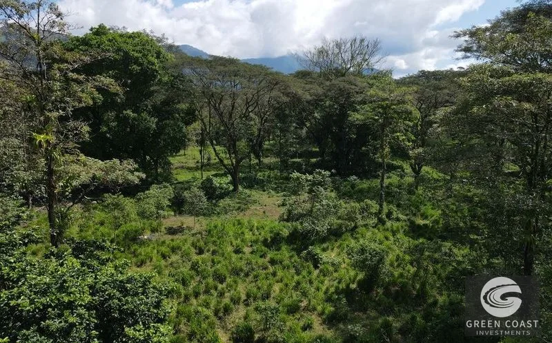 13-Acre Private Jungle Sanctuary with Creek & Fertile Soil in Parrita — view 2, Parrita, Costa Rica