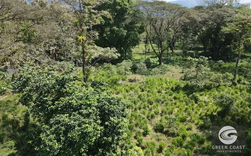 13-Acre Private Jungle Sanctuary with Creek & Fertile Soil in Parrita — view 3, Parrita, Costa Rica