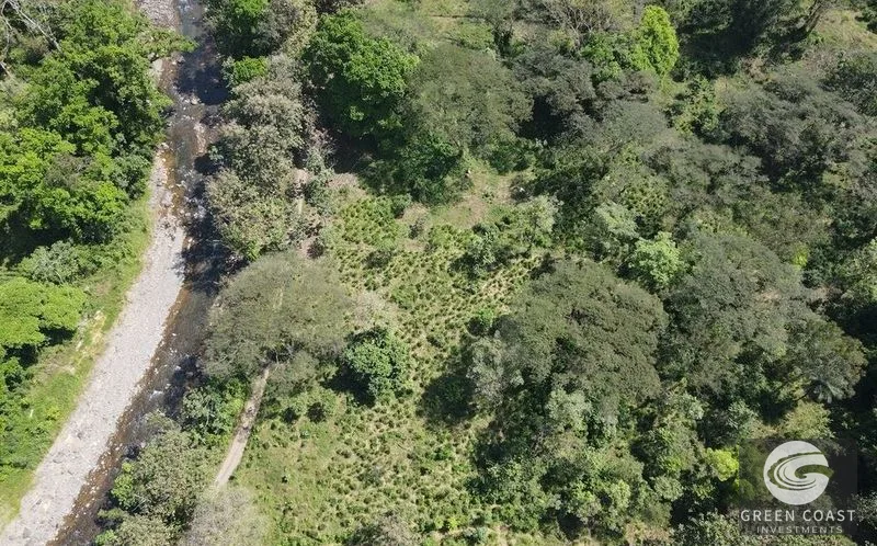 13-Acre Private Jungle Sanctuary with Creek & Fertile Soil in Parrita — view 6, Parrita, Costa Rica