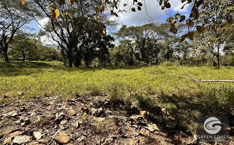 13-Acre Private Jungle Sanctuary with Creek & Fertile Soil in Parrita — view 7, Parrita, Costa Rica