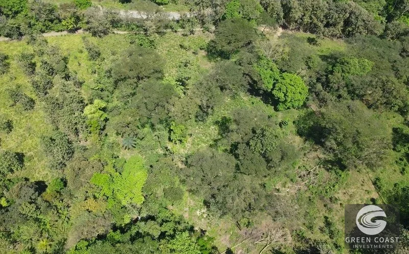 13-Acre Private Jungle Sanctuary with Creek & Fertile Soil in Parrita — view 8, Parrita, Costa Rica