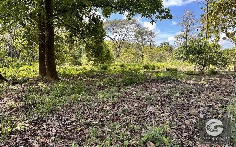13-Acre Private Jungle Sanctuary with Creek & Fertile Soil in Parrita — view 9, Parrita, Costa Rica