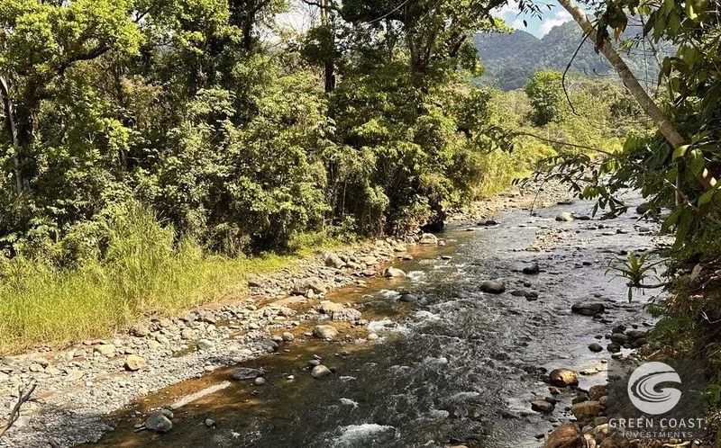 13-Acre Private Jungle Sanctuary with Creek & Fertile Soil in Parrita — view 11, Parrita, Costa Rica