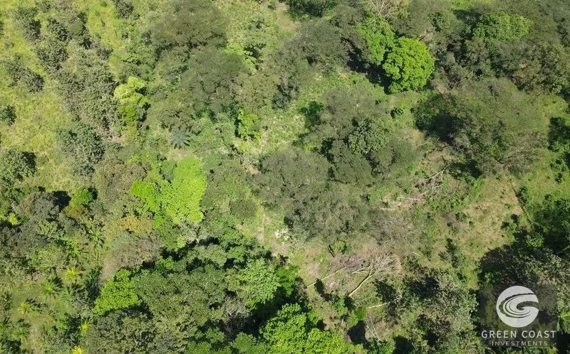 13-Acre Private Jungle Sanctuary with Creek & Fertile Soil in Parrita — view 12, Parrita, Costa Rica