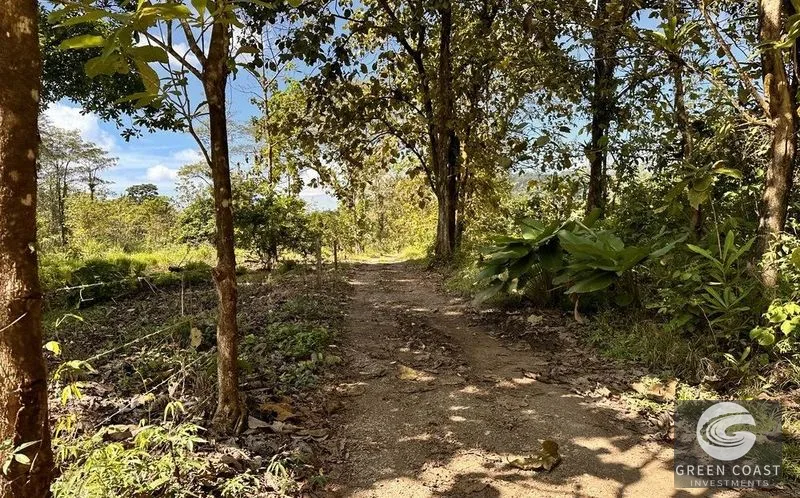 13-Acre Private Jungle Sanctuary with Creek & Fertile Soil in Parrita — view 13, Parrita, Costa Rica