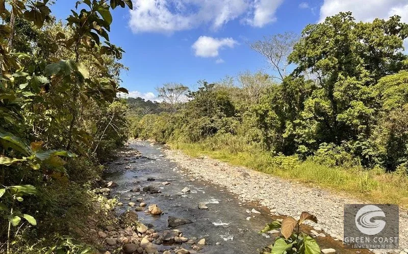13-Acre Private Jungle Sanctuary with Creek & Fertile Soil in Parrita — view 14, Parrita, Costa Rica