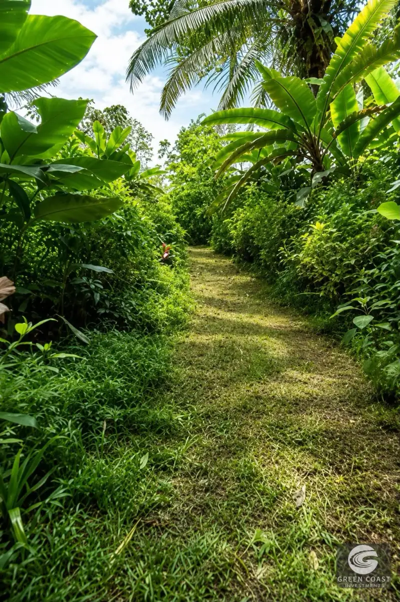 Manuel Antonio Jungle Escape: 1-Bed Villa with Mountain Views & Stream photo 7