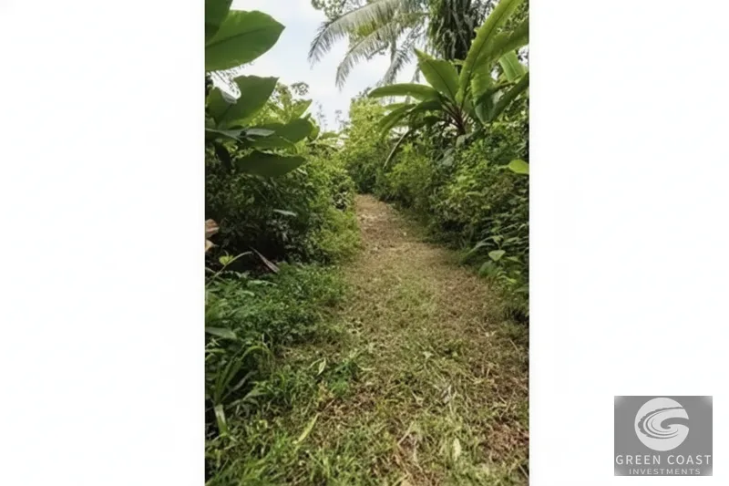 Manuel Antonio Jungle Escape: 1-Bed Villa with Mountain Views & Stream — photo 4