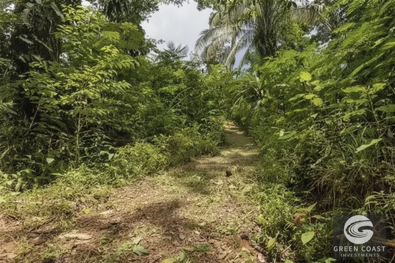 Manuel Antonio Jungle Escape: 1-Bed Villa with Mountain Views & Stream — photo 5