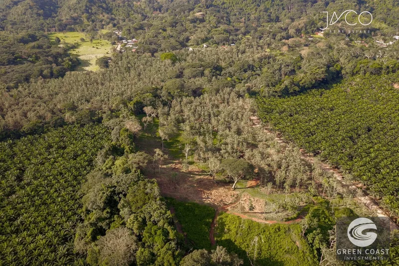 Prime 13-Hectare Ocean View Development Land Near Los Sueños Marina — view 6, Garabito, Costa Rica