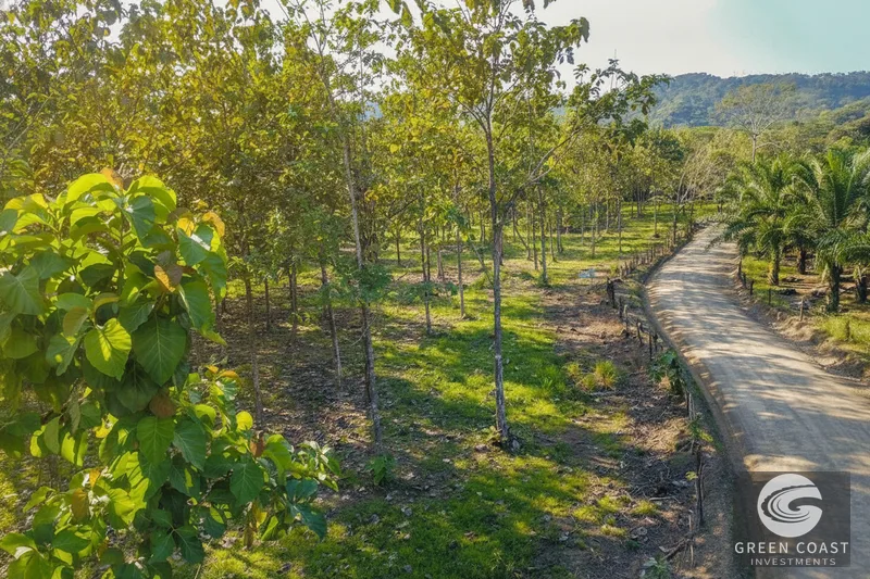 Prime 13-Hectare Ocean View Development Land Near Los Sueños Marina — view 13, Garabito, Costa Rica