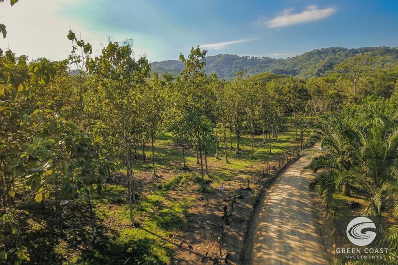 Prime 13-Hectare Ocean View Development Land Near Los Sueños Marina — view 14, Garabito, Costa Rica