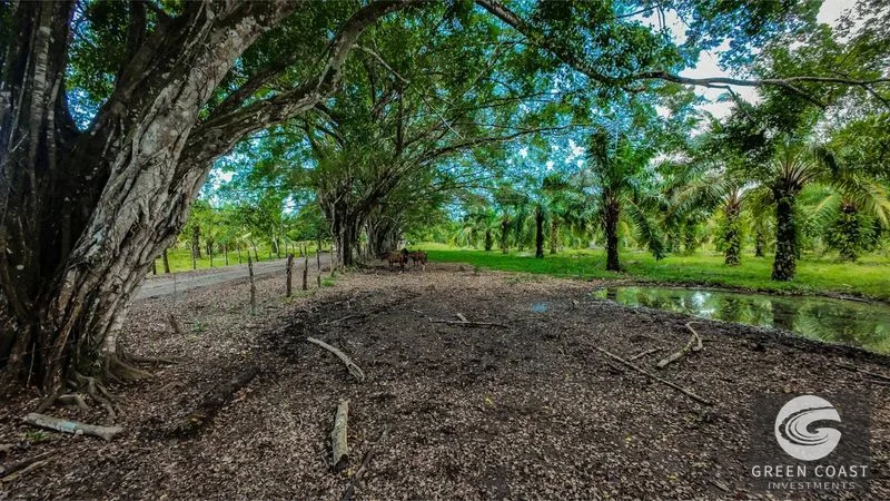 Ultimate 4,850-Acre Oceanfront Legacy Estate in Esterillos — view 17, Esterillos, Garabito, Costa Rica