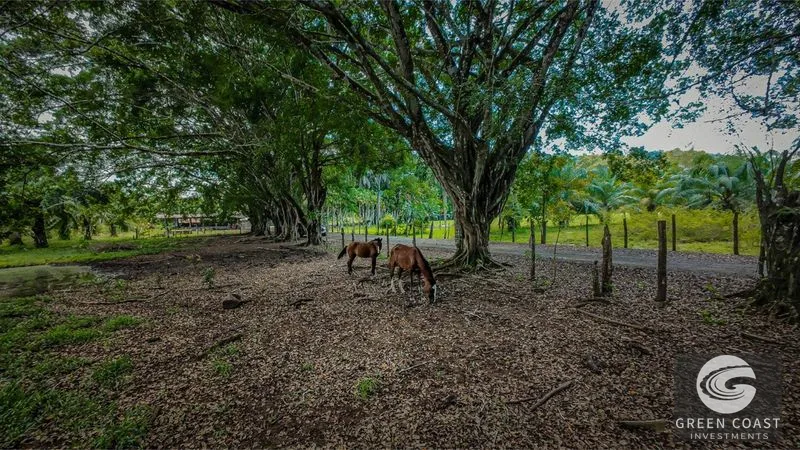 Ultimate 4,850-Acre Oceanfront Legacy Estate in Esterillos — view 18, Esterillos, Garabito, Costa Rica