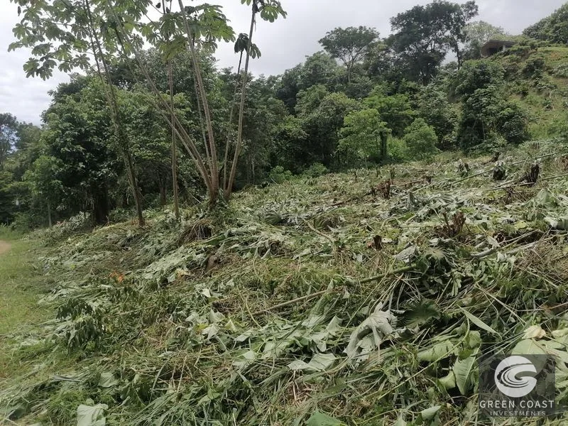 All Usable Large Corner Lot, Phase 5 — view 6, Ojochal, Ojochal, Costa Rica