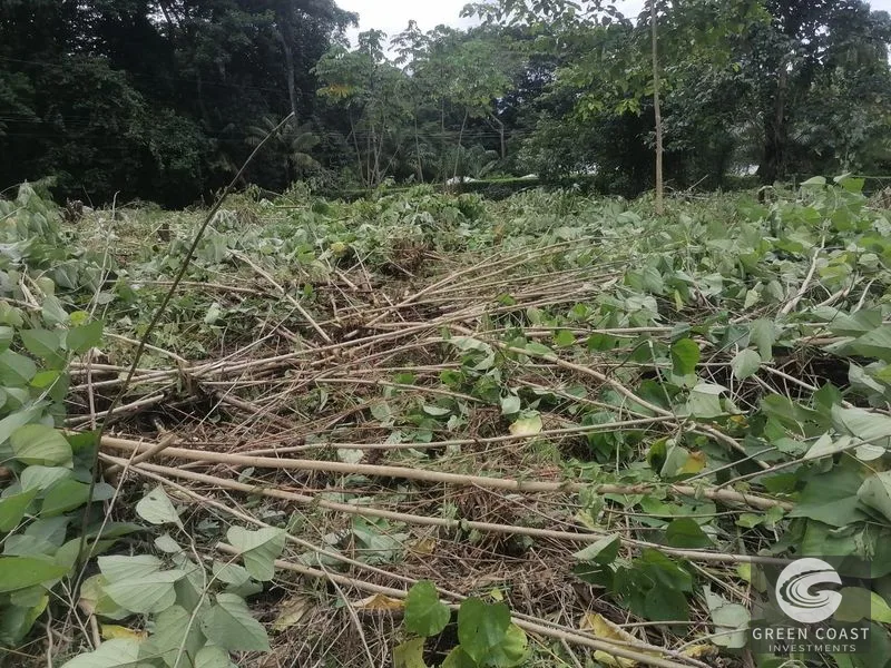 All Usable Large Corner Lot, Phase 5 — view 7, Ojochal, Ojochal, Costa Rica