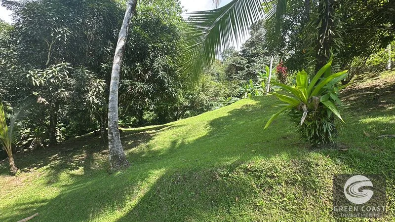 Development Parcel Central Uvita with River! — view 2, Uvita, Uvita, Costa Rica
