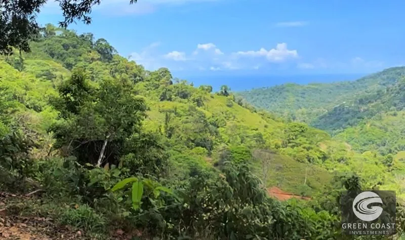 Property for Sale in Costa Rica, Costa Rica — view 5, San José, Costa Rica