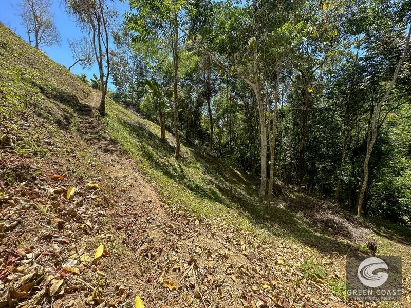 An elevated, prepared river lot with 360-degree ocean, mountain, valley and jungle views — view 13, Tres Ríos, Osa, Costa Rica