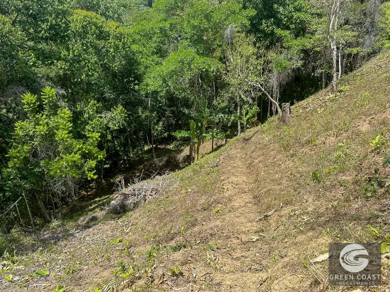 An elevated, prepared river lot with 360-degree ocean, mountain, valley and jungle views — view 14, Tres Ríos, Osa, Costa Rica