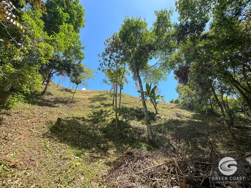 An elevated, prepared river lot with 360-degree ocean, mountain, valley and jungle views — view 15, Tres Ríos, Osa, Costa Rica