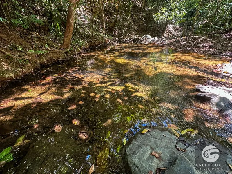 An elevated, prepared river lot with 360-degree ocean, mountain, valley and jungle views — view 17, Tres Ríos, Osa, Costa Rica