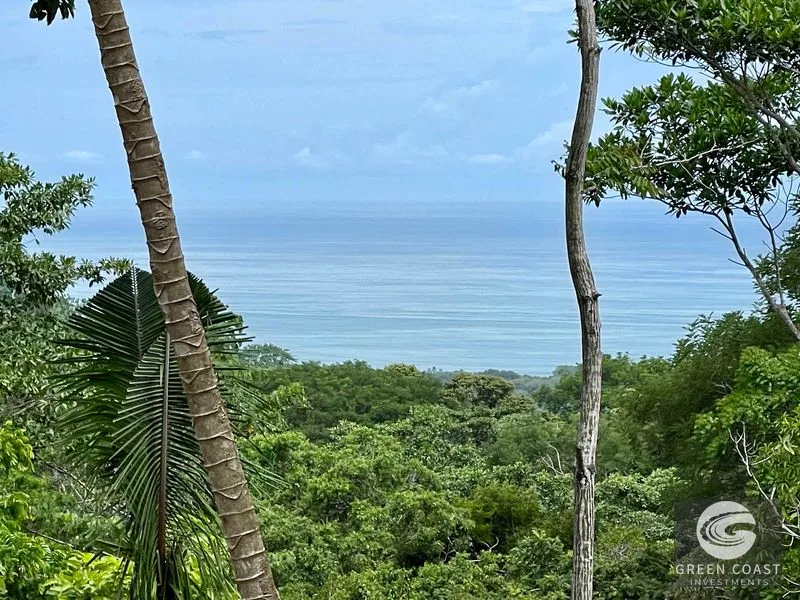 2.4 ACRES – Ocean View Lot With Creek Sorrounded By Rainforest In Gated Community!! — view 1, Hatillo, Hatillo, Costa Rica