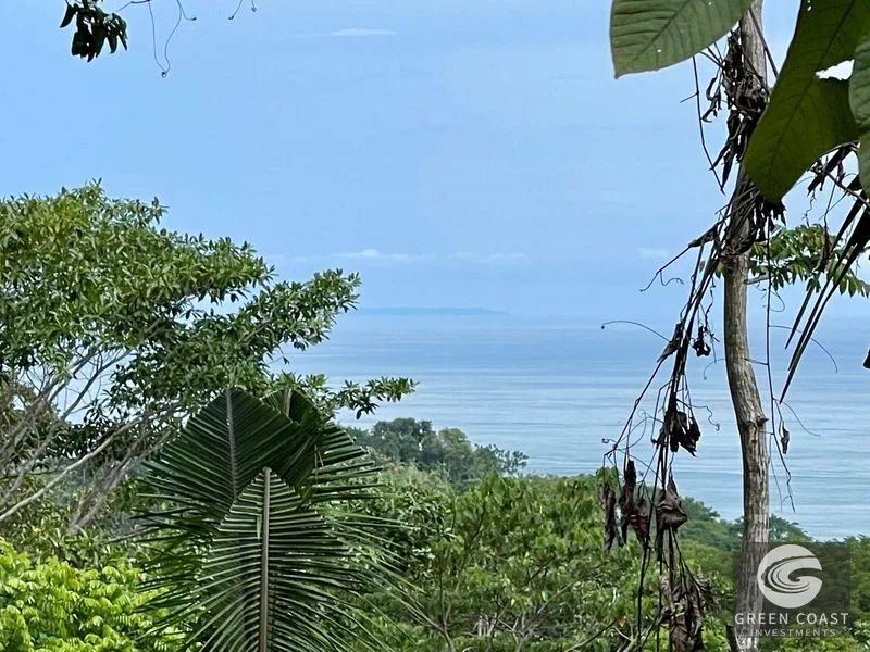 2.4 ACRES – Ocean View Lot With Creek Sorrounded By Rainforest In Gated Community!! — view 2, Hatillo, Hatillo, Costa Rica
