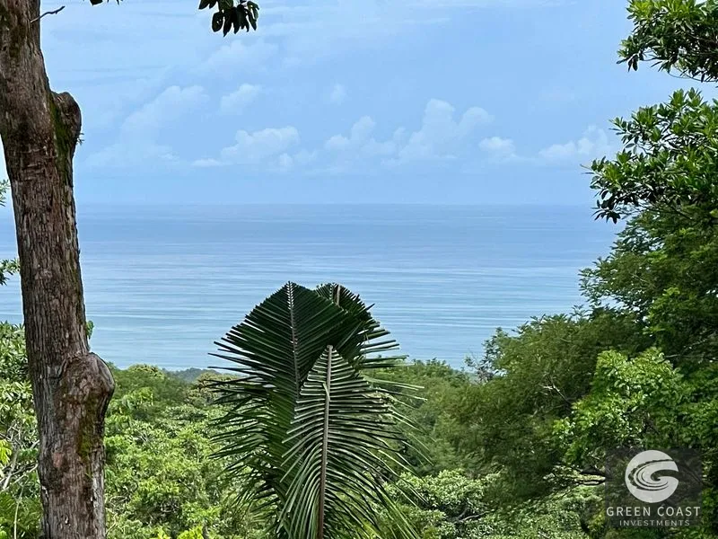 2.4 ACRES – Ocean View Lot With Creek Sorrounded By Rainforest In Gated Community!! — view 3, Hatillo, Hatillo, Costa Rica