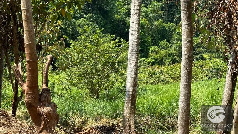 Exclusive 5.25-Acre Coastal Paradise in Hills of Portalon, Costa Rica — view 10, Manuel Antonio, Costa Rica