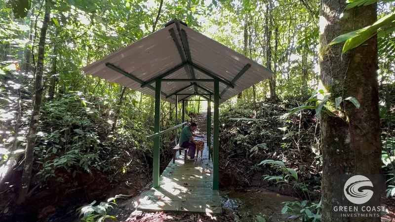 Tropical Regenerative Homestead with Main Home, Guest Casita & Food Forest – Tinamastes, Pérez Zeledón — view 14, Pérez Zeledón / San Isidro, Costa Rica
