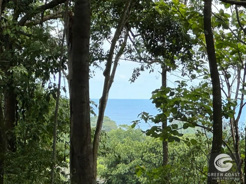 Tranquil Oasis: 8.8 Acres of Pristine Paradise in Dominicalito, Costa Rica — view 1, Dominical, Costa Rica