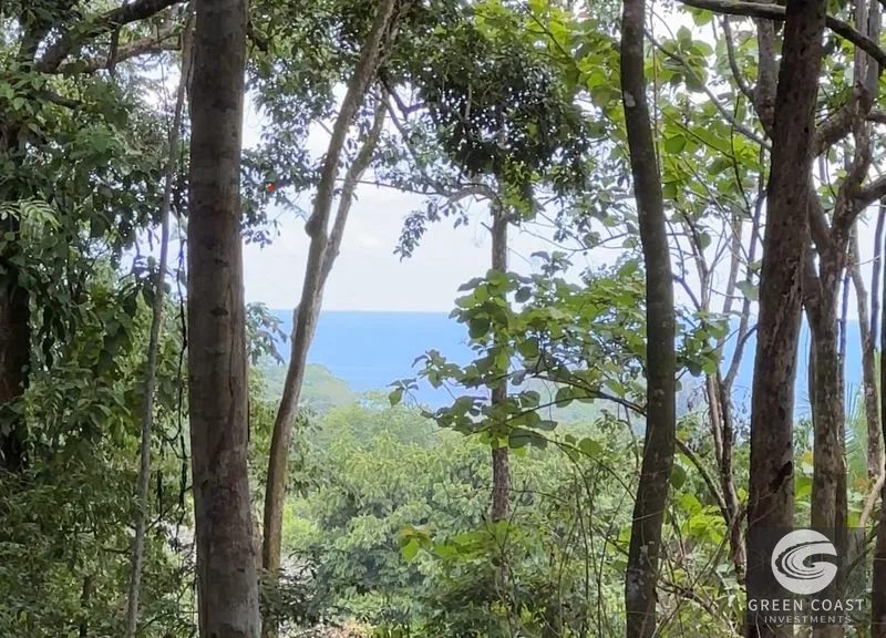 Tranquil Oasis: 8.8 Acres of Pristine Paradise in Dominicalito, Costa Rica — view 2, Dominical, Costa Rica