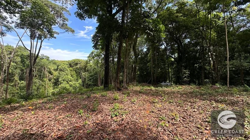 Tranquil Oasis: 8.8 Acres of Pristine Paradise in Dominicalito, Costa Rica — view 3, Dominical, Costa Rica